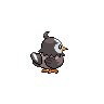 File:Starly-back.png