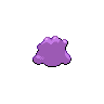 Ditto-back.png