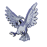 File:Shadow Pidgeotto.png