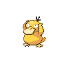 File:Psyduck.png