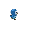 Piplup-back.png