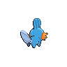 Mudkip-back.png