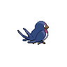 File:Taillow-back.png