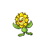 File:Sunflora.png