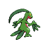 Grovyle-back.png