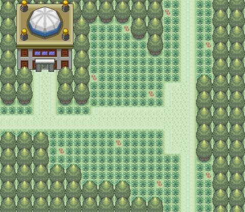 Pokemon Vortex