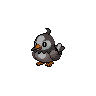File:Dark Starly.png