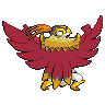 Hawlucha (Mega)