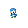 Piplup.gif