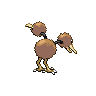 Doduo-back.png