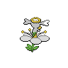 Flabebe (White)-back.png